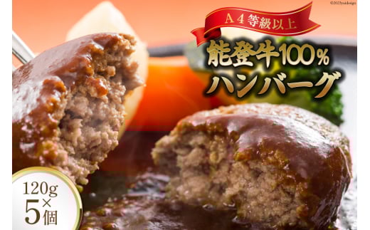てらおか風舎の特選能登牛100%ハンバーグ 120g×5個 [てらおか風舎（寺岡畜産株式会社） 石川県 志賀町 AA4199] 肉 能登牛 ハンバーグ 5個 デミグラスソース付き 化粧箱入り
