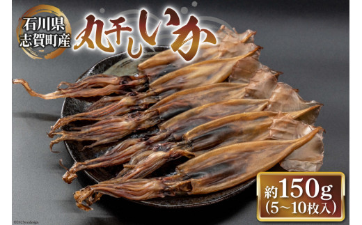 干物 丸干しいか 5～10枚 白化粧箱入り  [西海水産 石川県 志賀町 AB4127] 海産物 いか イカ 丸干し もみいか おつまみ 酒の肴 おかず 冷凍 日本海 石川県産