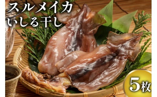 スルメイカ いしる干しセット 5枚 [能西水産 石川県 志賀町 AD4115] スルメイカ いしる干し 干物 セット