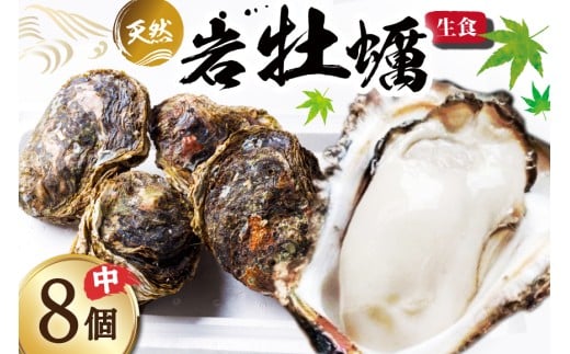 【期間限定発送】ヨコタ礁 天然 岩牡蠣 生食用 中 8個 [望海 石川県 志賀町 BX4016] 岩牡蠣 岩ガキ 岩がき 牡蠣 カキ 期間限定