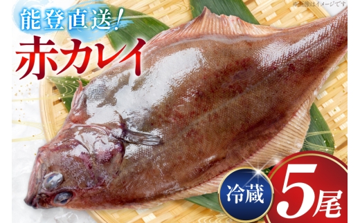 カレイ 能登の赤カレイ 5尾 (1尾200〜300g) 計1kg程度   [小川水産 石川県 志賀町 sk17bdm840009] かれい 赤カレイ  魚 さかな 魚介類 鮮魚 煮付け 焼き魚