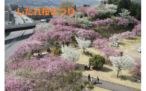 2 自然豊かに美しく(環境に関する事業)