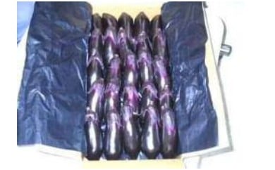 幸田町産「とげなし美茄子」 5kg ※11月～12月、3月～6月発送予定※ なす 茄子 野菜 お取り寄せ