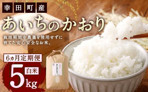 【6カ月定期便】幸せな田んぼのある町のお米｢幸田町｣産 あいちのかおり 白米 5kg ｜ お米 米 白米 精米 ご飯 ごはん 定期便