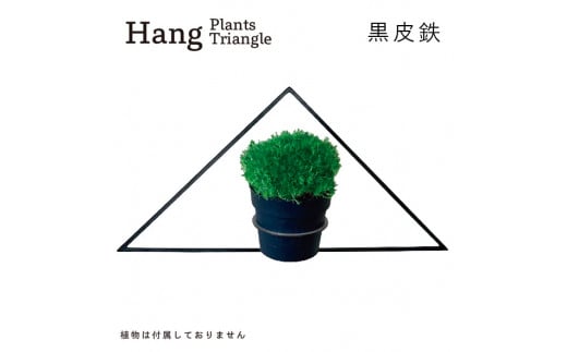 GRAVIRoN Hang Plants シリーズ Triangle 黒皮鉄（プランツハンガー） 観葉植物 プランター