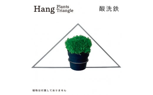 GRAVIRoN Hang Plants シリーズ Triangle 酸洗鉄（プランツハンガー） 観葉植物 プランター