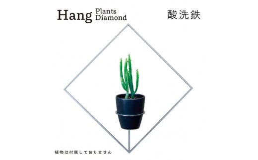 GRAVIRoN Hang Plants シリーズ Diamond 酸洗鉄（プランツハンガー） 観葉植物 プランター
