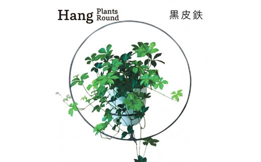 GRAVIRoN Hang Plants シリーズ Round 黒皮鉄（プランツハンガー） 観葉植物 プランター