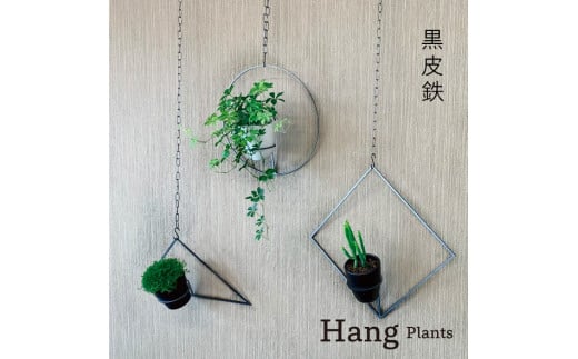 GRAVIRoN Hang Plants シリーズ Triangle/Diamond/Round セット 黒皮鉄（プランツハンガー） 観葉植物 プランター