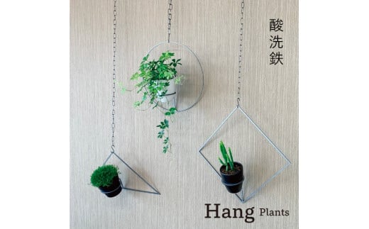 GRAVIRoN Hang Plants シリーズ Triangle/Diamond/Round セット 酸洗鉄（プランツハンガー） 観葉植物 プランター