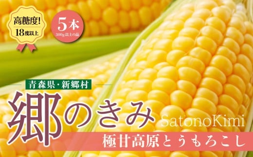 <先行予約>2026年8月上旬〜出荷 【三つ星フレンチの食材に選ばれたとうもろこし】「郷のきみ」5本【期間限定・数量限定】