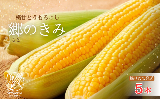 【三つ星フレンチの食材に選ばれたとうもろこし】「郷のきみ」5本【期間限定・数量限定】
