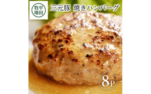 平田牧場　日本の米育ち三元豚焼きハンバーグ　8個 SA0715