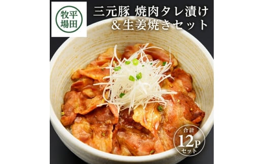 【平田牧場】日本の米育ち 三元豚 焼肉タレ漬け＆生姜焼き2種セット　計12パック(各140g×6パック) SC0511