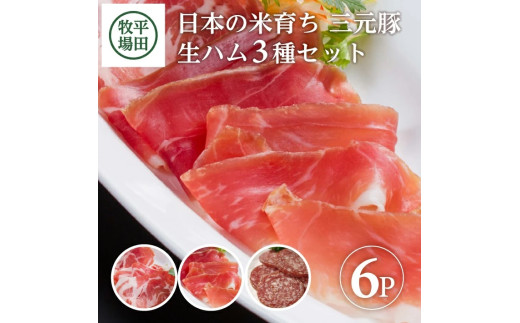 三元豚 生ハム 3種セット 6パック 計260g 豚肉 生ハムコッパ ジャーマンサラミ ブランド豚 銘柄豚 ハム サラミ 豚 肉 おつまみ ワイン モモ肉 肩ロース 小分け 冷蔵 おすすめ ギフト 贈り物 贈答 平田牧場 山形 酒田 SA1336