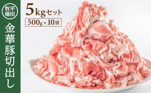 豚肉 金華豚 切出し 5kg 500g×10パック 切落し 焼肉 しゃぶしゃぶ 小分け 米育ち豚 ブランド豚 銘柄豚 焼き肉 生姜焼き 豚汁 冷凍 おかず 豚 おすすめ 平田牧場 山形 酒田 SE0310