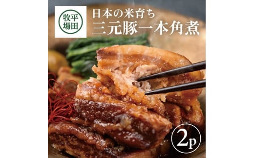 【平田牧場】 三元豚 一本角煮 180g×2パック SA2426