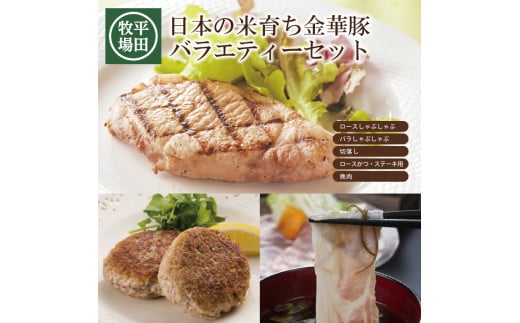 豚肉 バラエティーセット 計1.14kg 金華豚 豚ロース しゃぶしゃぶ 豚バラ 豚切落し 豚挽き肉 ロースカツ ステーキ ひき肉 ロース ブランド豚 冷凍 贈り物 贈答 ギフト 平牧 平田牧場 山形 酒田 SC0550