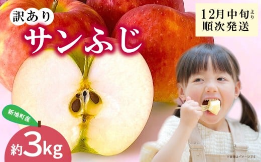 新地町産 りんご サンふじ 訳あり  約3kg 1箱  | 果物 くだもの リンゴ フルーツ 旬 産地直送 農家直送 食品 人気 おすすめ 送料無料 お取り寄せ 福島県 新地町 訳アリ わけあり 葉とらず サンフジ フジ ふじ りんご
