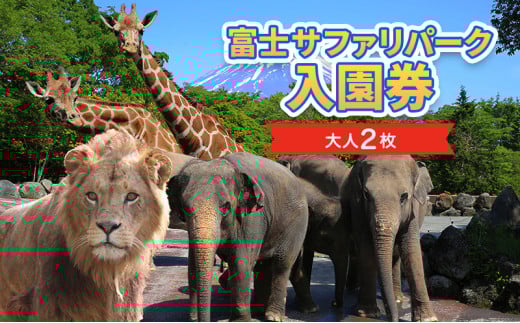 富士サファリパーク入園券 大人2枚 サファリパーク 動物園 動物 餌やり えさやり ふれあい 子供 こども 家族 お出かけ スポット 裾野市 裾野 [№5812-0268]