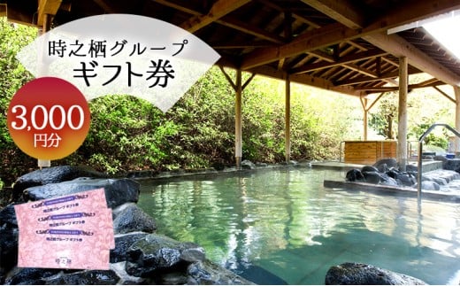 旅行 静岡 時之栖 グループ ギフト券 3,000円分 （1万円寄付コース） チケット 券 旅行券 宿泊券 食事券 利用券 ホテル 温泉 レストラン グランピング 施設 トラベル 観光 体験 旅 ギフト プレゼント 贈答 贈答品 贈り物 静岡県 裾野 裾野市 [№5812-0166]