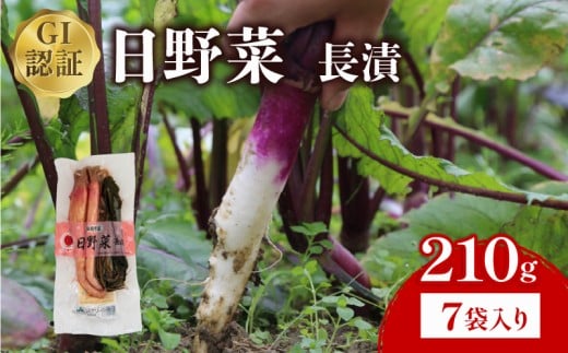 日野菜漬 長漬（ 210g × 7袋入り ）漬物 漬け物 惣菜 おかず ご飯 の お供 白米 にあう つけもの 甘酢漬け 伝統 野菜 お家用 贈答 贈り物 ギフト 蕪 滋賀県 日野町 ふるさと納税