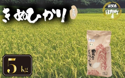 【 令和7年産 新米 5kg 】 きぬひかり 米 玄米 国産 滋賀県 日野町 農家直送 お米 おこめ こめ 産地直送 ふるさと納税
