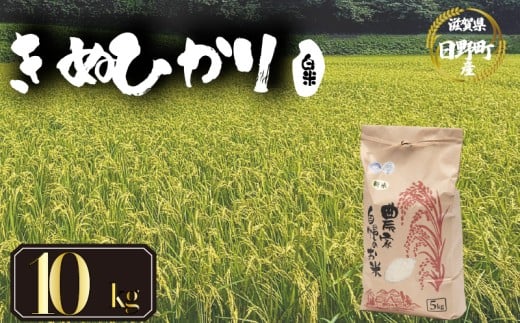 【 令和7年産 新米  10kg 】 きぬひかり 米 白米 国産 滋賀県 日野町 農家直送 お米 おこめ こめ 産地直送 ふるさと納税