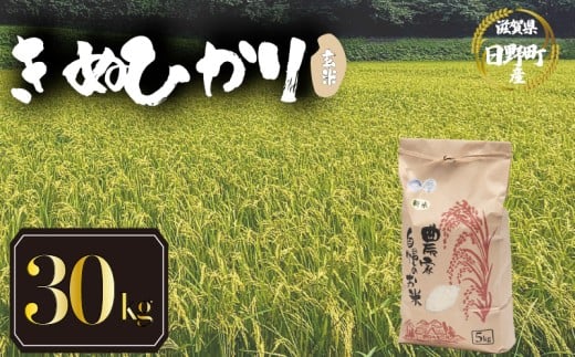 【 令和7年産 新米 30kg 】 きぬひかり 米 玄米 国産 滋賀県 日野町 農家直送 お米 おこめ こめ 産地直送 ふるさと納税