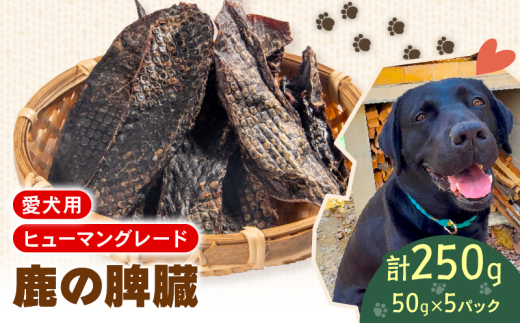 犬用 シカ の 脾臓 50 g× 5 袋 ジビエ  鹿肉 肉 鹿 ペットフード ドッグフード ペット 安心 健康 おやつ 犬 国産 ごはん ペット ペット用品 ペットフード 犬のおやつ  犬用 ペット用 ご褒美