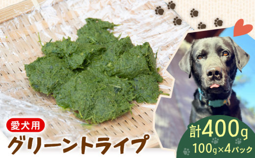 犬用 シカ の グリーントライプ 100 g× 4 袋 ジビエ  鹿肉 肉 鹿 ペットフード ドッグフード ペット 安心 健康 おやつ 犬 国産 ごはん トッピング ペット ペット用品 ペットフード 犬のおやつ  犬用 ペット用 ご褒美 乳酸菌 全犬種対応 小分け 個包装