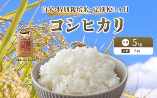 【 新米予約 】 令和7年産 新米 特別栽培米 コシヒカリ 予約 米 5kg 白米 定期便 3ヶ月 計15kg こしひかり 国産 滋賀県 日野町 農家直送 環境こだわり米 お米 おこめ こめ 産地直送 ふるさと納税