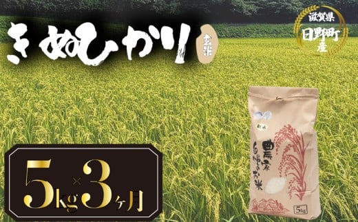 【 令和7年産 新米 5kg 定期便 3ヶ月 】 きぬひかり 米 玄米 国産 滋賀県 日野町 農家直送 お米 おこめ こめ 産地直送 ふるさと納税