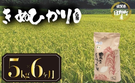 【 令和7年産 新米 5kg 定期便 6ヶ月 】 きぬひかり 米 白米 国産 滋賀県 日野町 農家直送 お米 おこめ こめ 産地直送 ふるさと納税