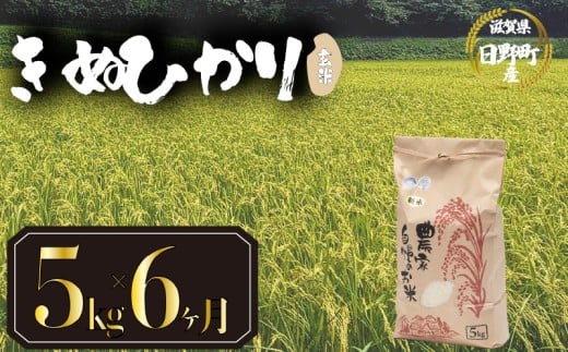 【 令和7年産 新米 5kg 定期便 6ヶ月 】 きぬひかり 米 玄米 国産 滋賀県 日野町 農家直送 お米 おこめ こめ 産地直送 ふるさと納税