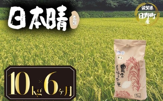 【 令和7年産 新米 10kg 定期便 6ヶ月 】 日本晴 米 玄米 国産 滋賀県 日野町 農家直送 お米 おこめ こめ 産地直送 ふるさと納税
