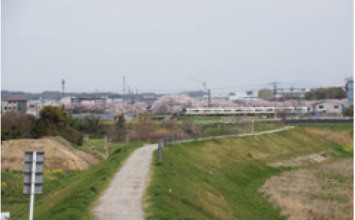 ①自治体にお任せ