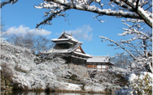 ②歴史文化に関する事業