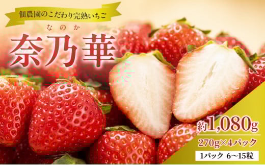 【先行予約】いちご 完熟 奈乃華 約1,080g(270g× 4パック ) 佃農園のこだわり フルーツ 果物 旬 産地直送 旬のフルーツ 旬の果物 お取り寄せ おやつ デザート イチゴ 苺 なのか 冷蔵 冷蔵配送 奈良 奈良県 大和郡山市[№5990-0727]
