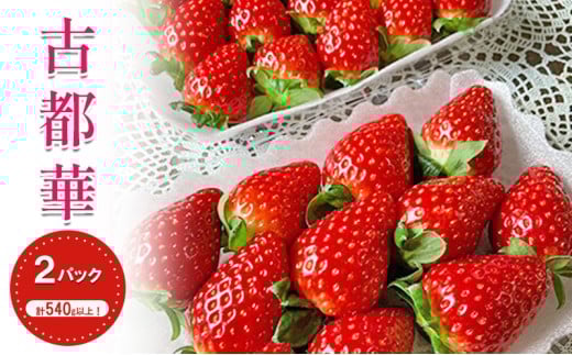 【先行予約】【2026年1月中旬出荷開始】いちご 古都華 約270g × 2パック フルーツ 果物 旬 産地直送 旬のフルーツ 旬の果物 お取り寄せ おやつ デザート 希少 ことか 苺 冷蔵 冷蔵配送 奈良 奈良県[№5990-0619]