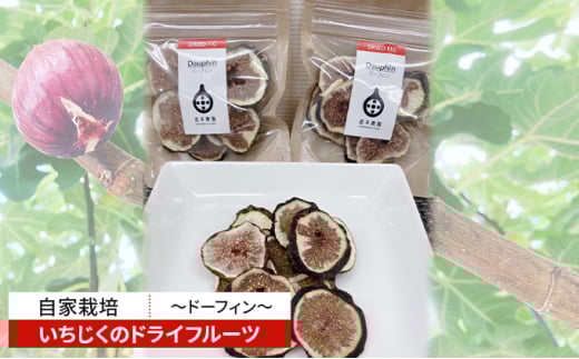 自家栽培いちじくのドライフルーツ～ドーフィン～ [№5990-0683]