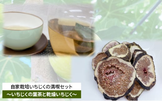 自家栽培いちじくのドライフルーツ満喫セット～いちじくの葉茶と2種の乾燥いちじく～ [№5990-0685]