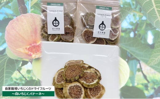 自家栽培いちじくのドライフルーツ～白いちじくバナーネ～ [№5990-0686]
