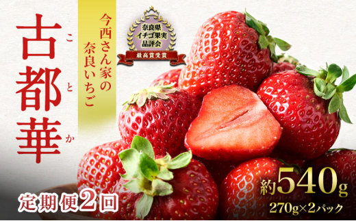 【先行予約】【定期便 2回】今西さん家の奈良いちご いちご 古都華 約540g(270g× 2パック )[№5990-0887]