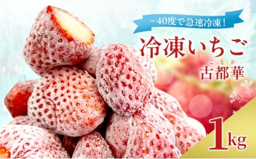 -40度で急速冷凍！ 冷凍いちご 1kg ( 古都華 )[№5990-0922]