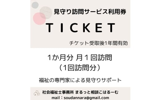 【親孝行は、ふるさと納税で】　ふるさとへ贈る安心　社会福祉士による見守り訪問サービスチケット　見守り 訪問 サービス 1か月分　月1回訪問　報告 安心 福祉 支援 サポート 代行 親孝行　社会福祉士[№5990-0938]