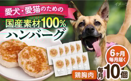 【全6回定期便】ペットフード 鶏むね 100%ハンバーグ 10個セット ペット 犬 猫 手作り 国産 てづくり こだわり ドッグフード  横須賀 【ペットフードYM japan】 [AKEX008]