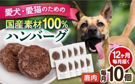 【全12回定期便】ペットフード 鹿肉 100%ハンバーグ 10個セット ペット 犬 猫 手作り 国産 てづくり こだわり ドッグフード  横須賀 【ペットフードYM japan】 [AKEX013]