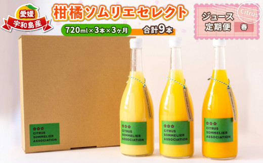 ジュース定期便 3回 720ml × 3本 計9本 セレクト ジュース 柑橘ソムリエ 先行予約 定期便 みかん定期便 3ヶ月 果汁 飲料 柑橘 みかん mikan 蜜柑 みかんジュース ストレートジュース 100%ジュース 果物 くだもの フルーツ 国産 愛媛 宇和島 H040-064002
