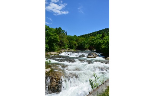 遠軽町ふるさと振興資金